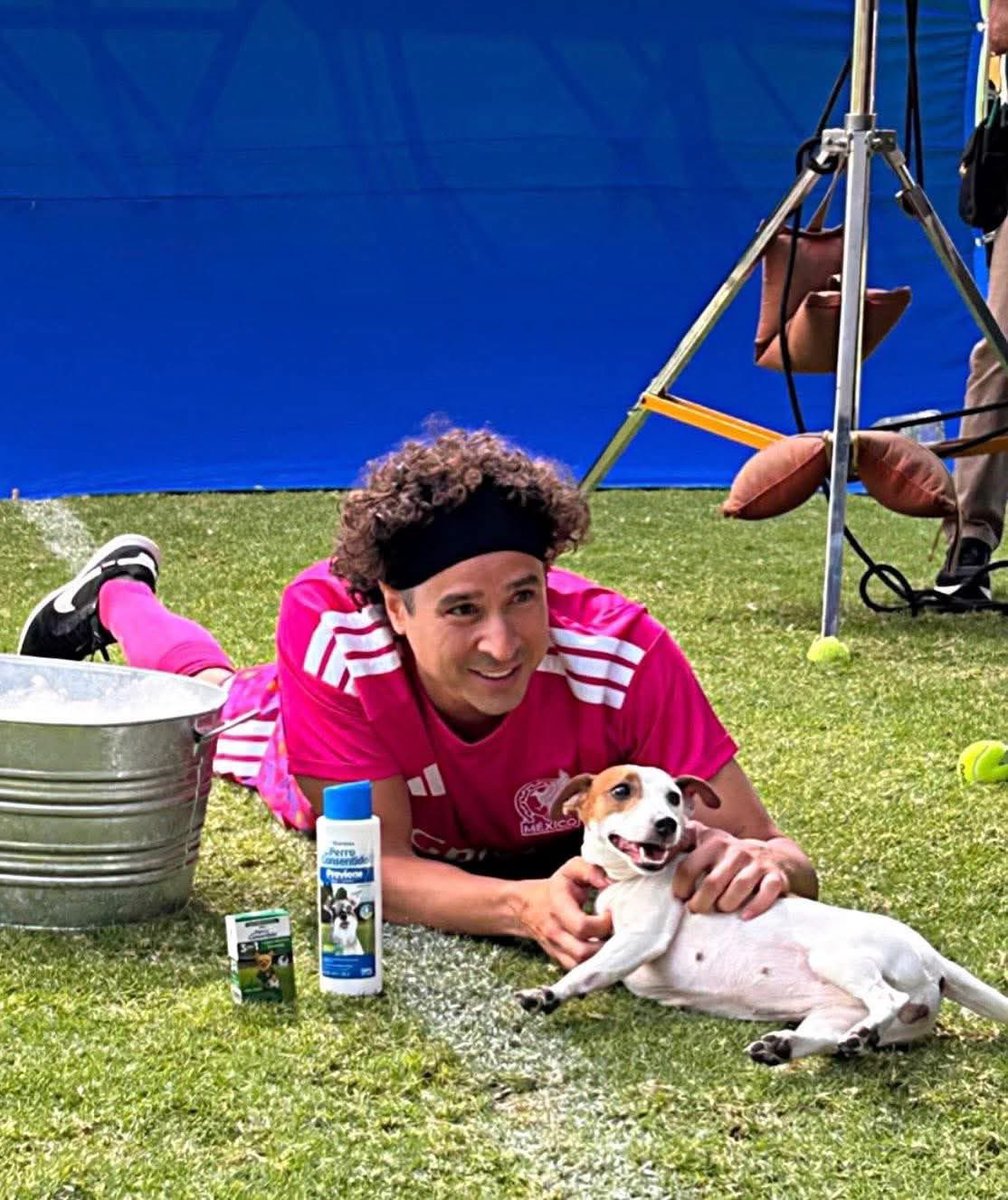 Gabriel Rdgz Liceaga tweet media