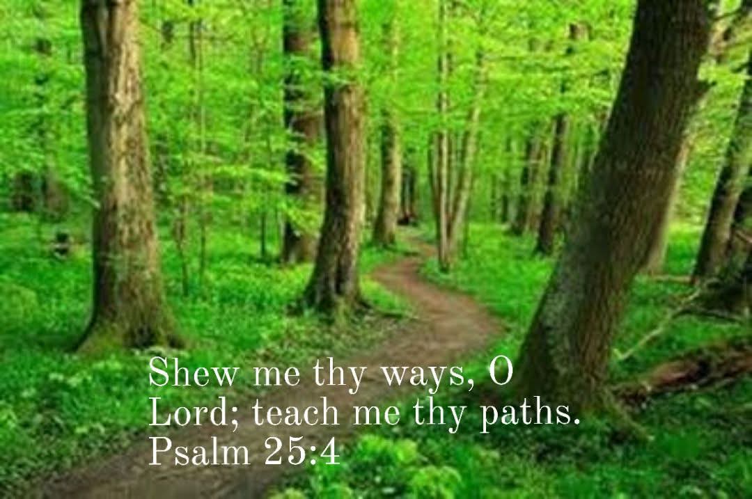 Tracy Killinger 🇺🇸 tweet media