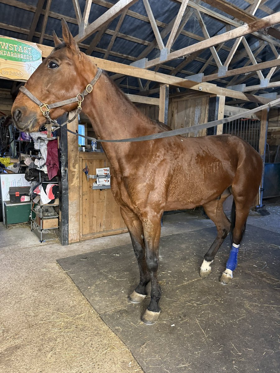 Kimberly Hale tweet media