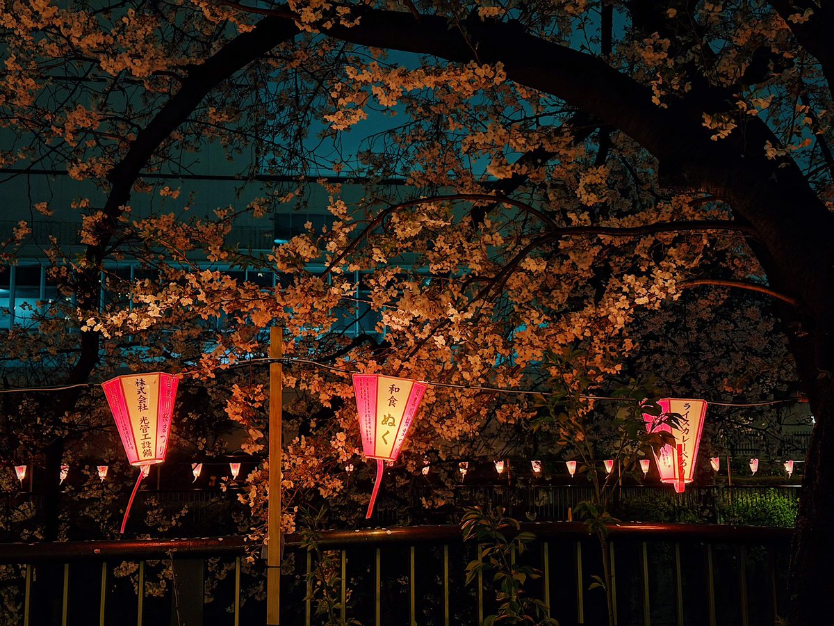 ferdalangurinn tweet media