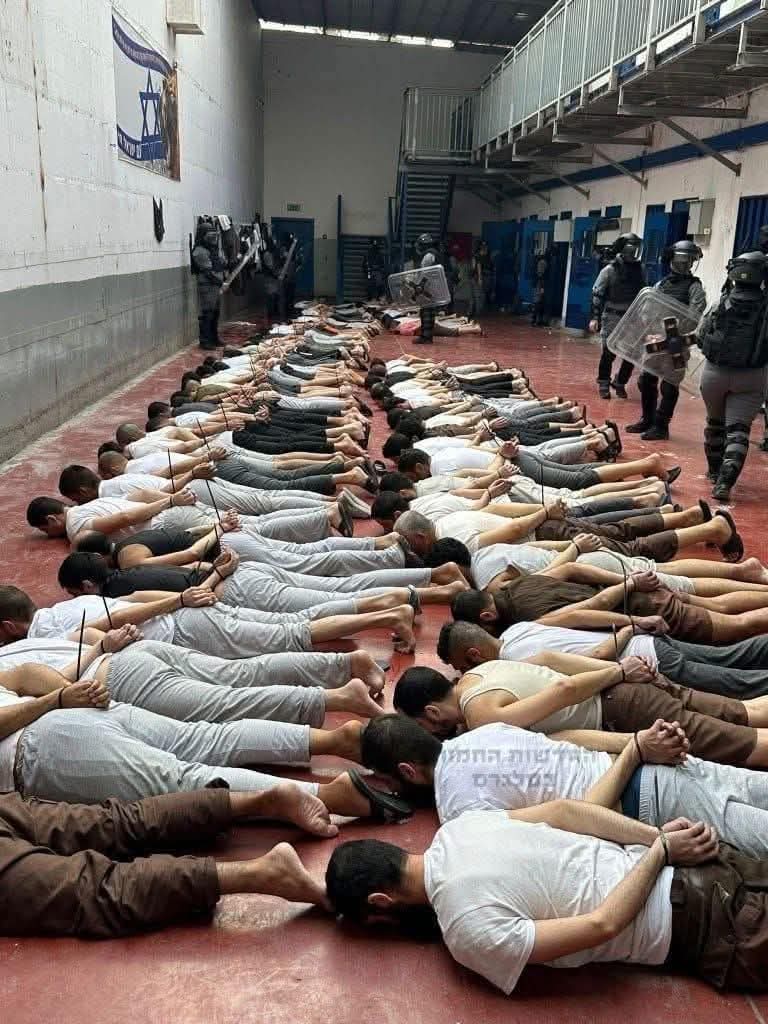 ابو درندش العسكري tweet media