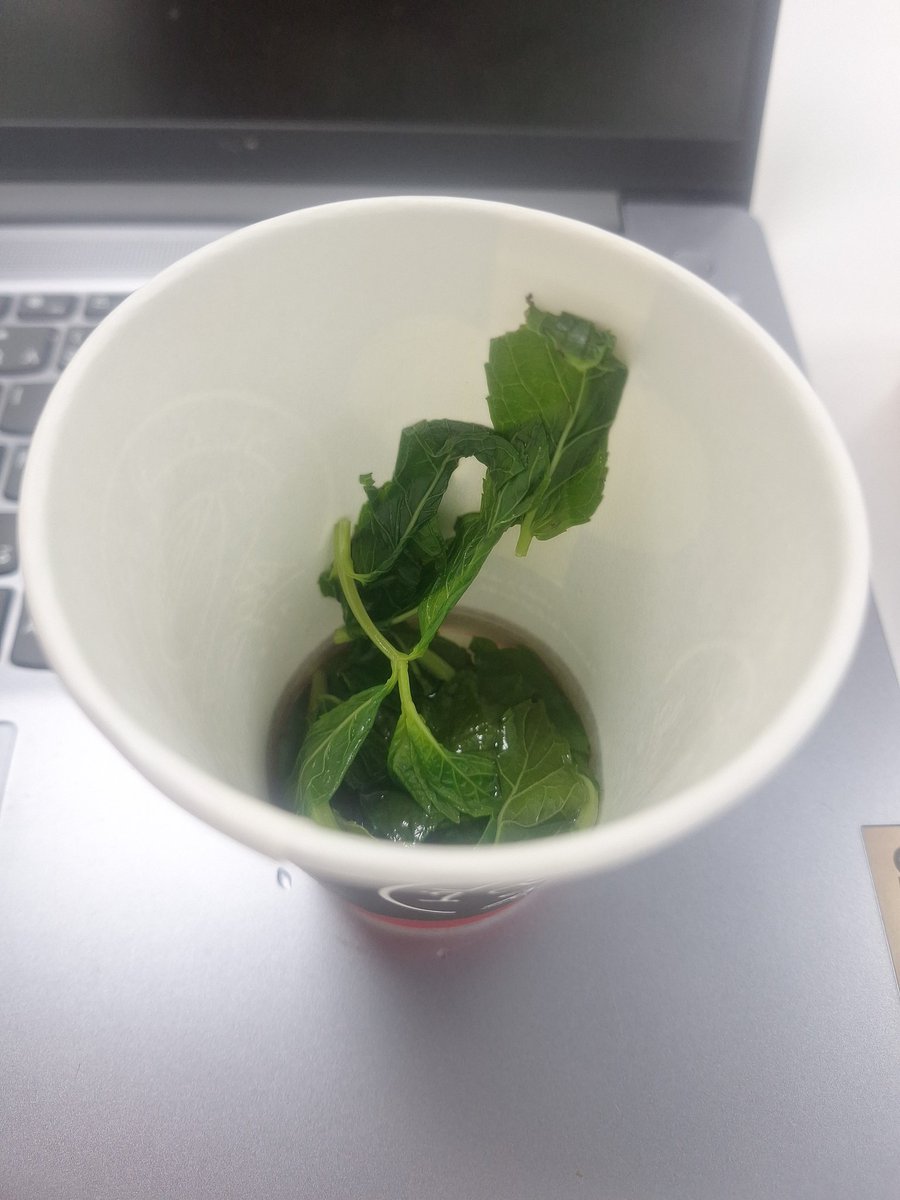 خلدون tweet media