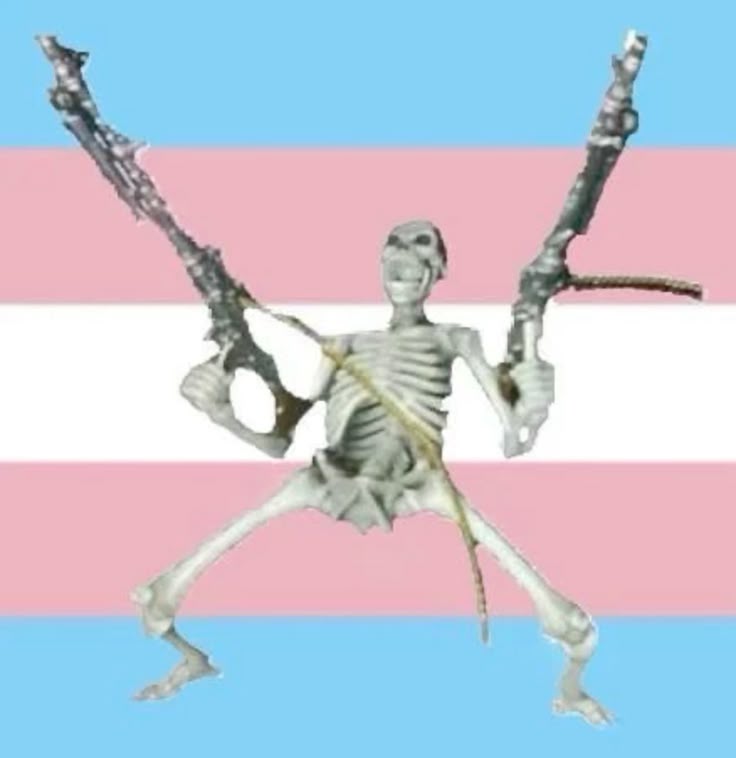 nicolas⁵⁵ tweet media