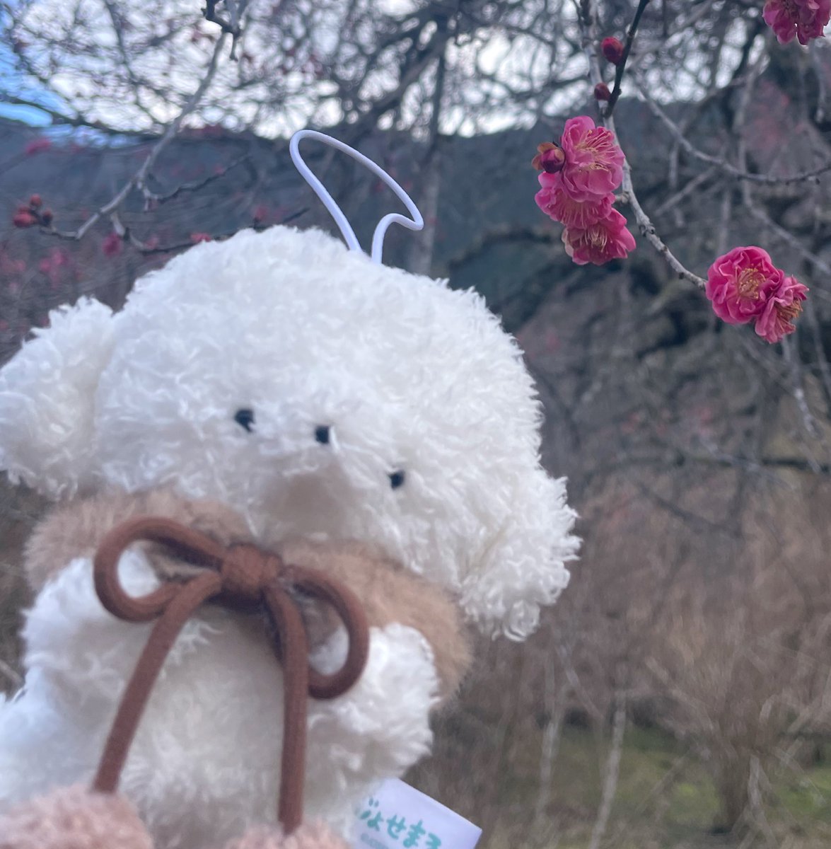 0_0kllk's tweet photo. じょせまるのMii https://t.co/ref11Fpzel