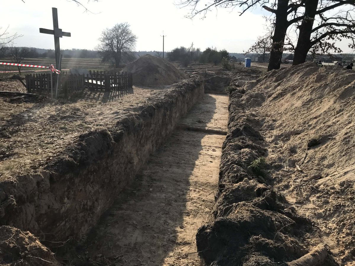 Karolina Romanowska tweet media