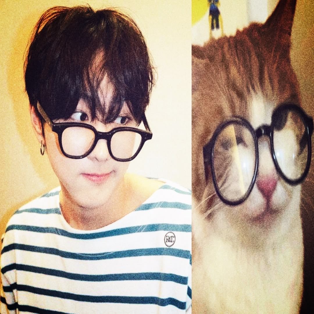 darling | ENH7PEN IS sevEN tweet media