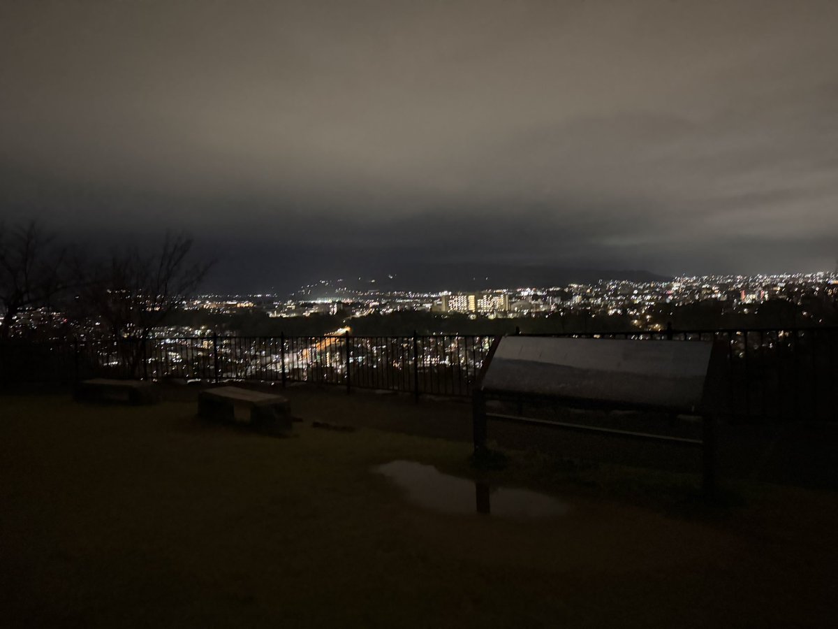 よつは tweet media