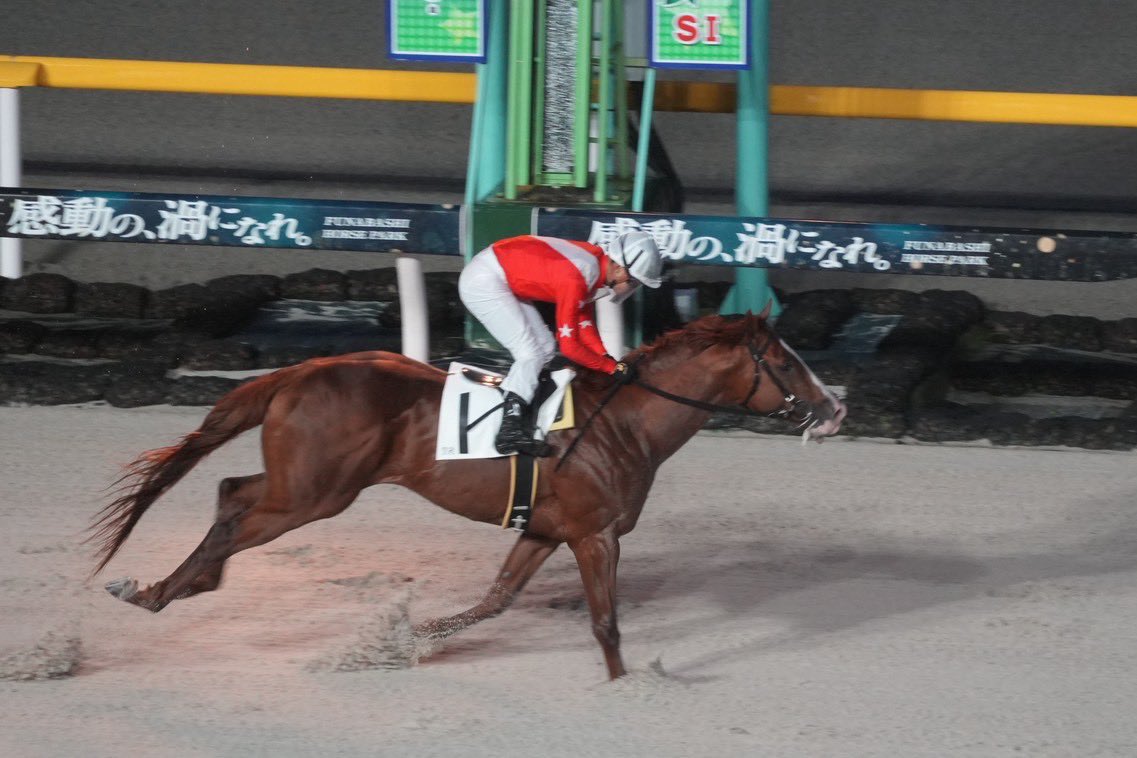 ピコレーシング tweet media