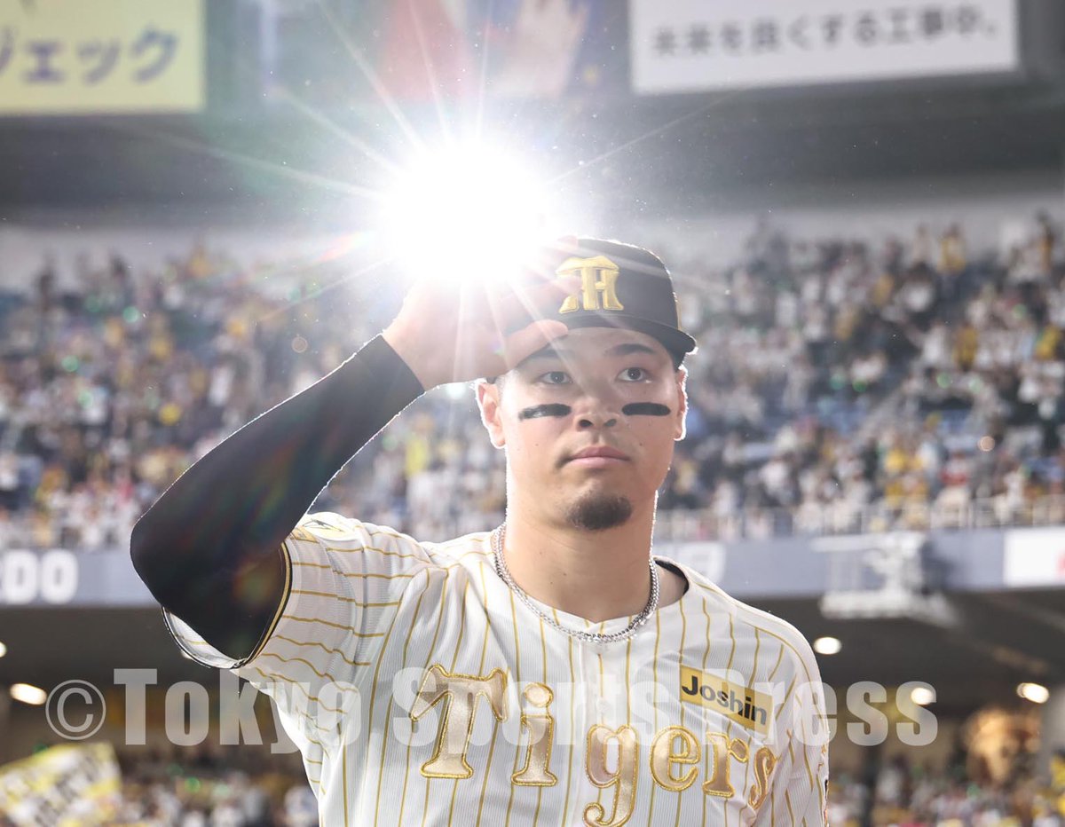 東スポ 写真映像部 tweet media