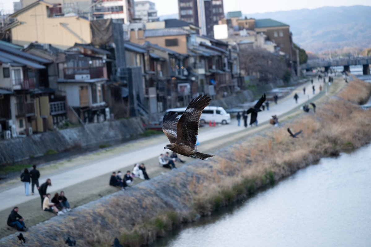あるホテルマンの本音 tweet media