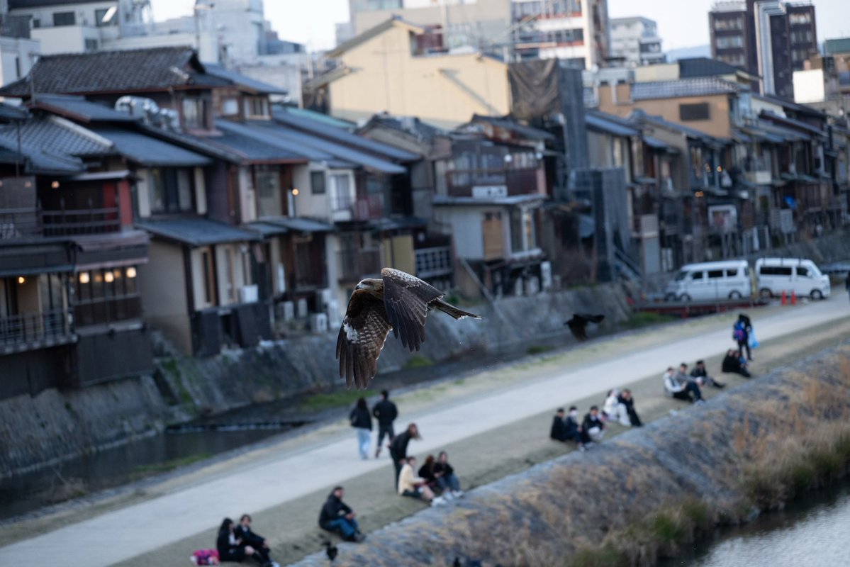 あるホテルマンの本音 tweet media