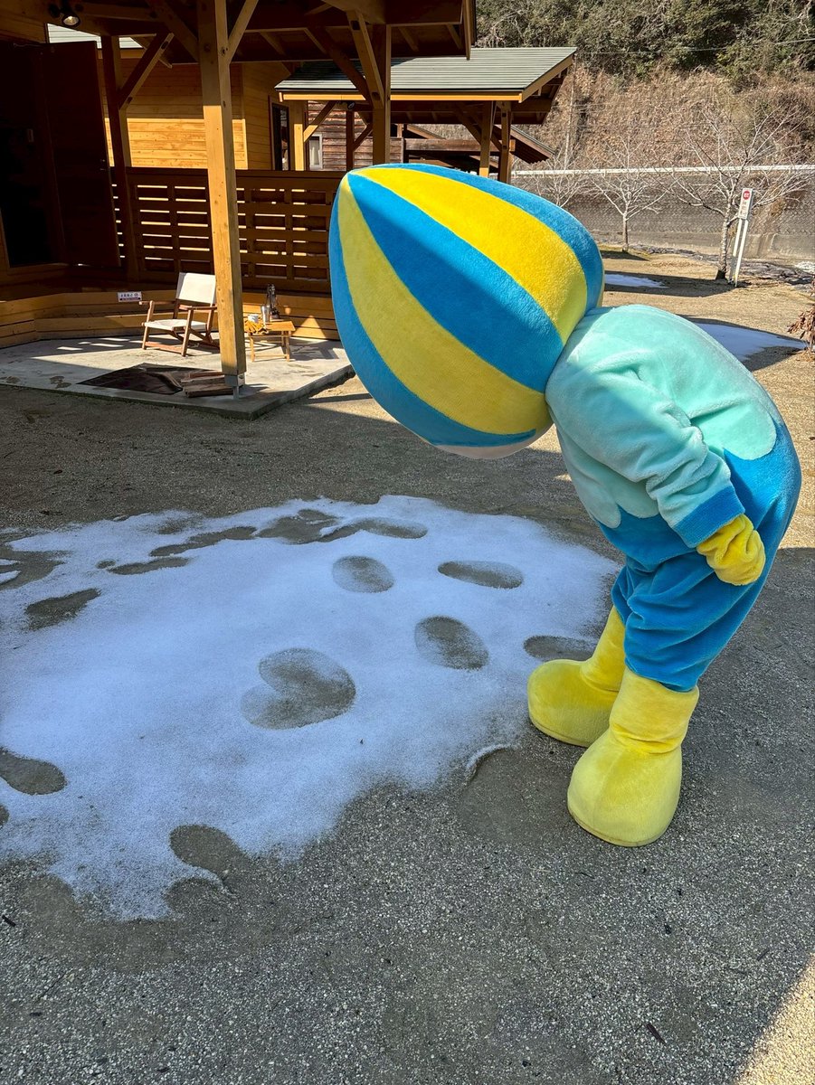 なちゅ tweet media