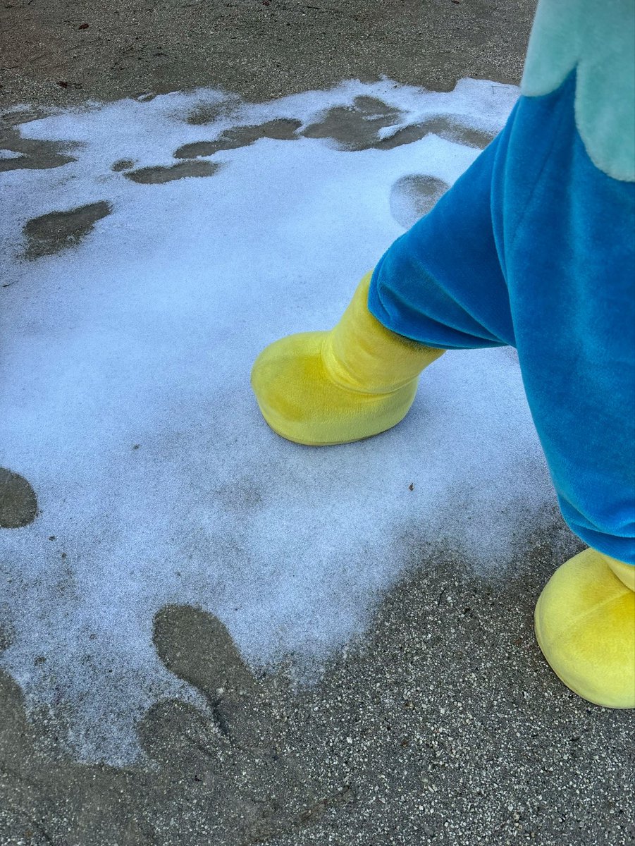 なちゅ tweet media