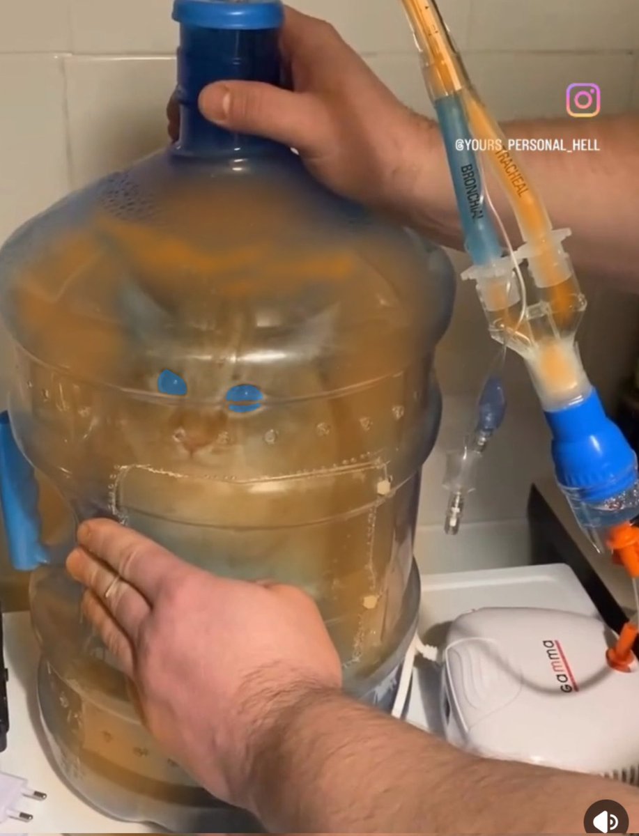 Lawrence of Arrakis tweet media