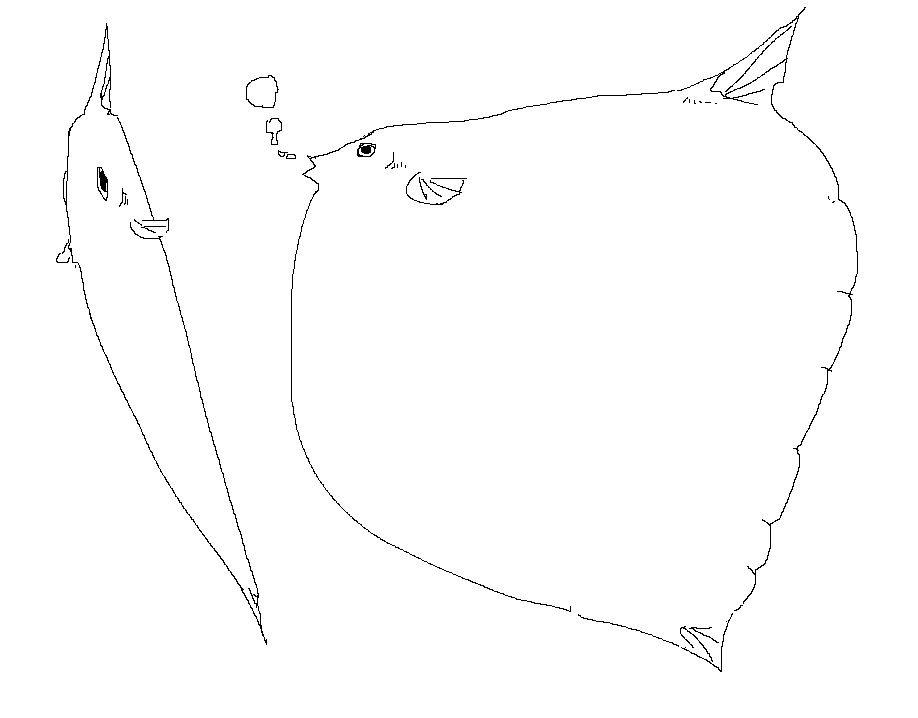 schmoder tweet media