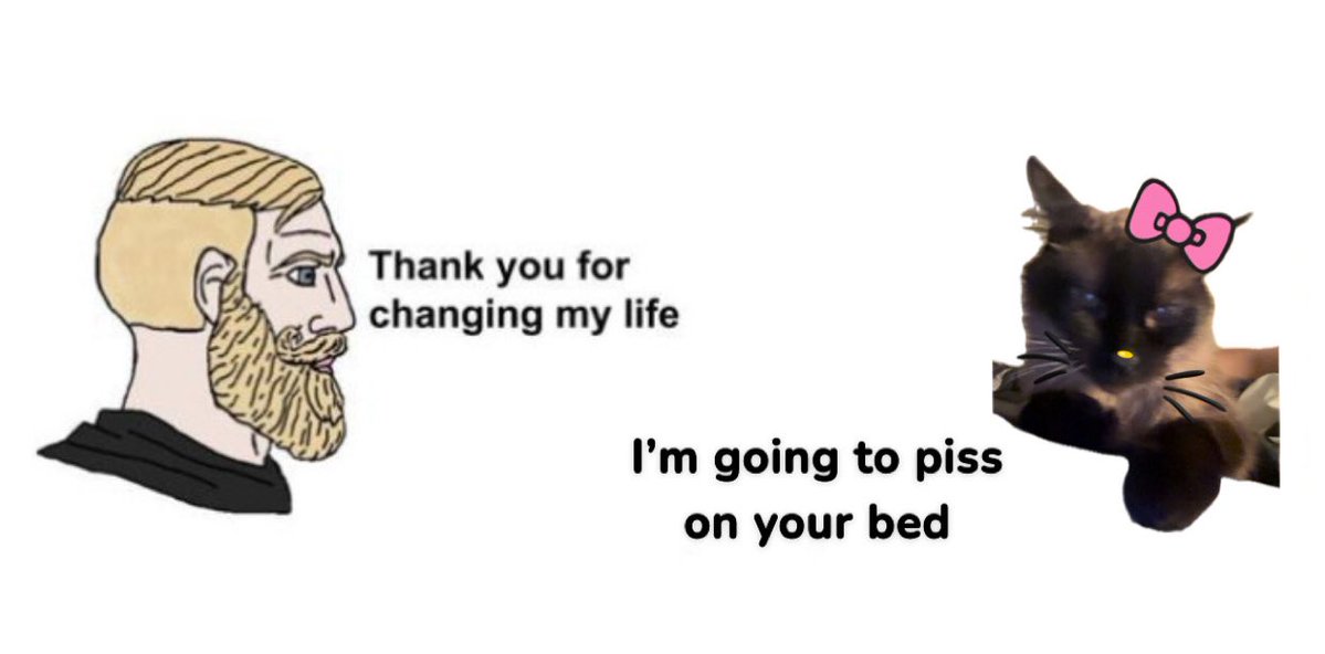 Happy birthday to my bitch ass diabetic cat Mama
(I love her very much and is prolly the main reason why I’ve never been sent to a mental hospital :3)