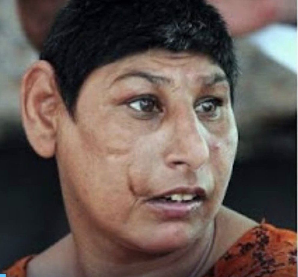 Trump Fact News 🇺🇸 tweet media