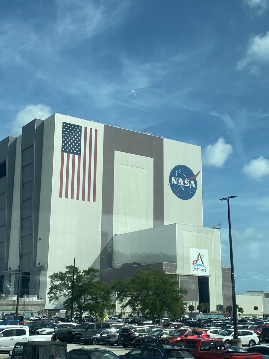 Sylvia Cesaratto tweet media