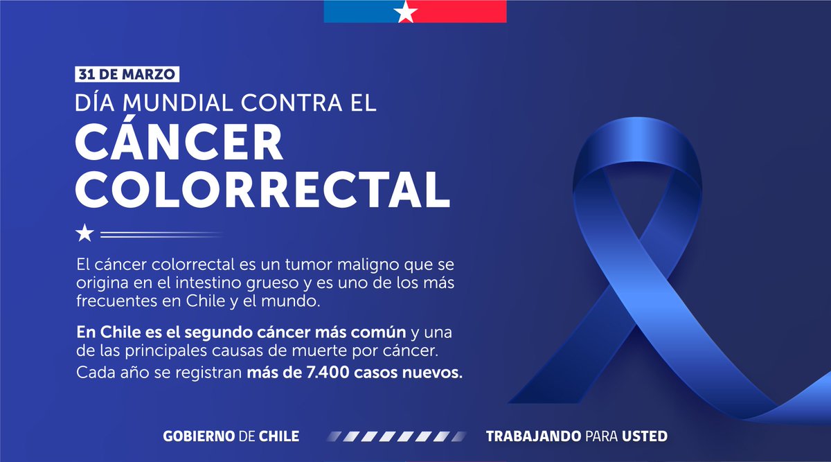 Félix Bulnes tweet media