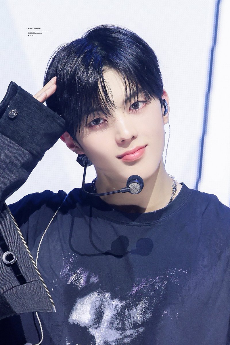 Hamtellite tweet media