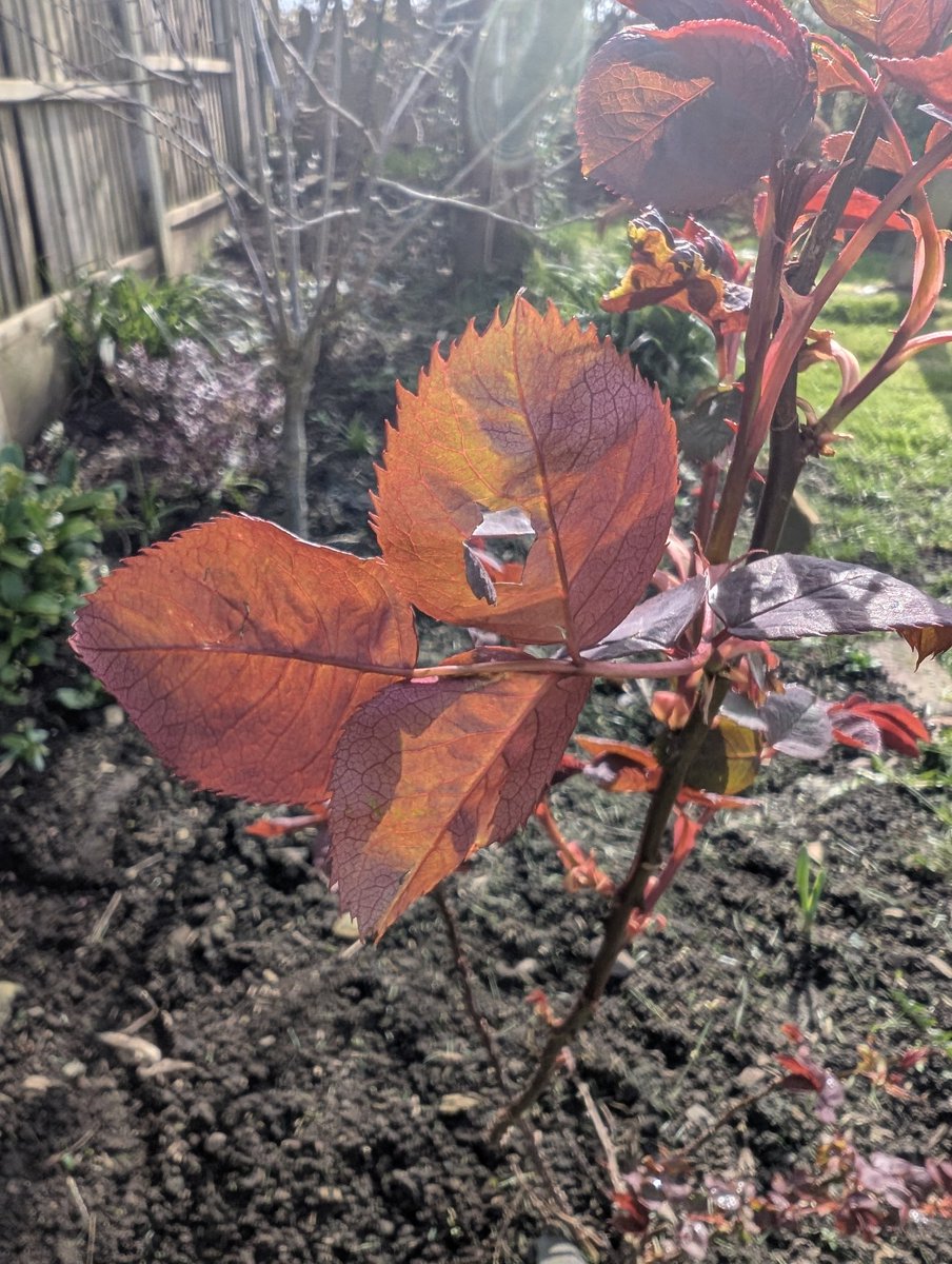 🎧 lucie jane 🌧️ tweet media