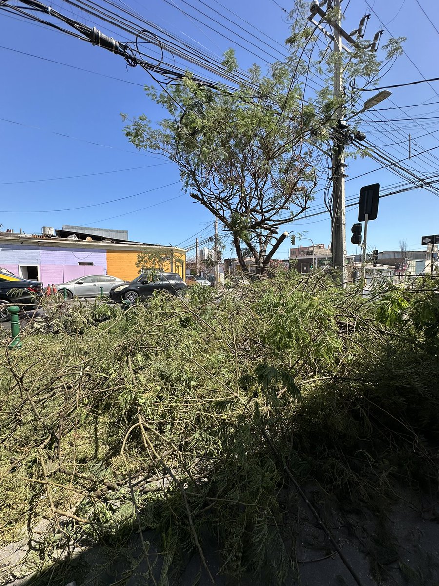 Pablo Zambra Venegas tweet media