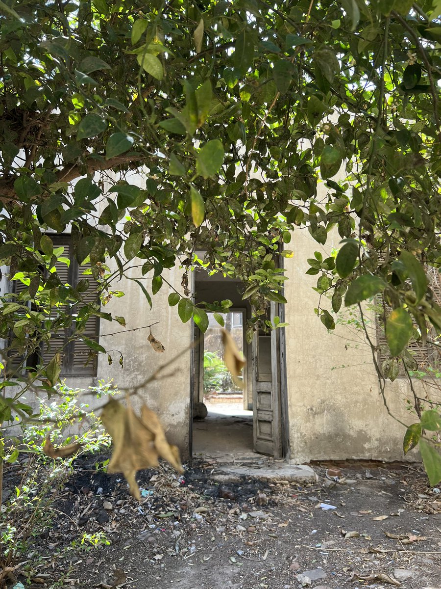 Ghada Moner tweet media