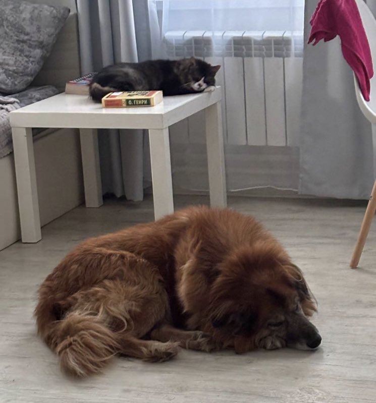 Ascetic Traveler tweet media