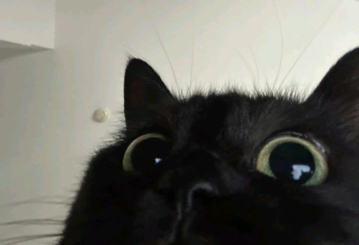 19년생 tweet media