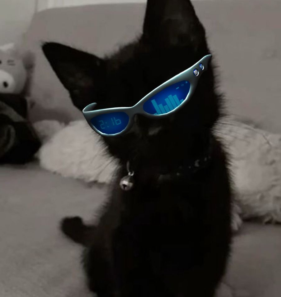 19년생 tweet media