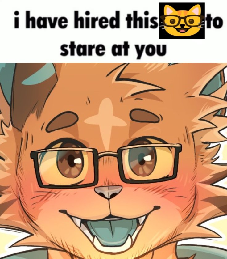 🧡Orange_Playzz🩵 tweet media