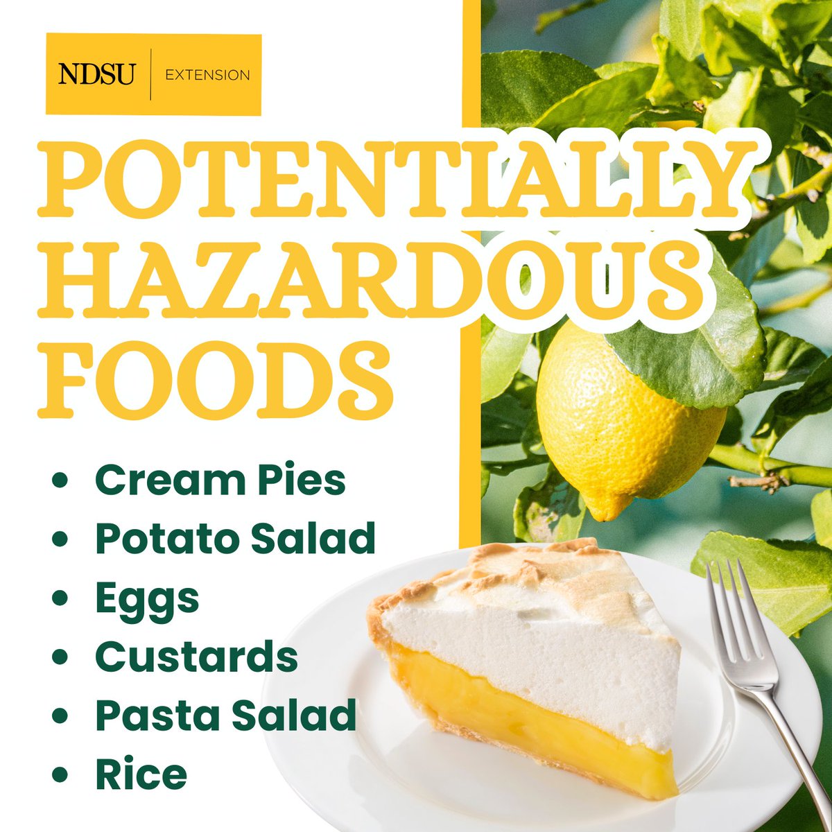 NDSU Extension-Food tweet media