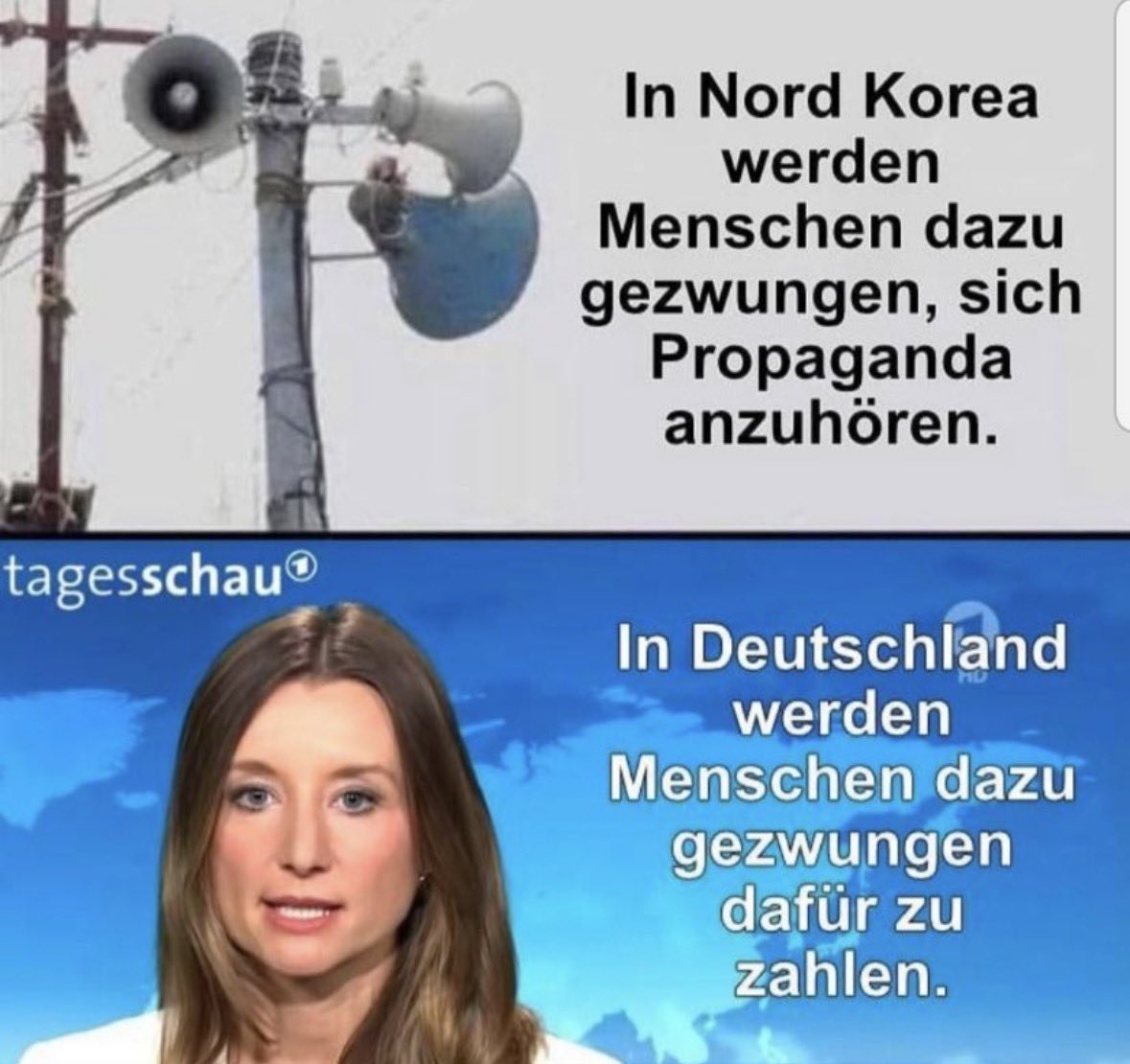 Daniel Robian tweet media