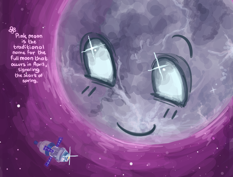 ♆ . chimychoo tweet media