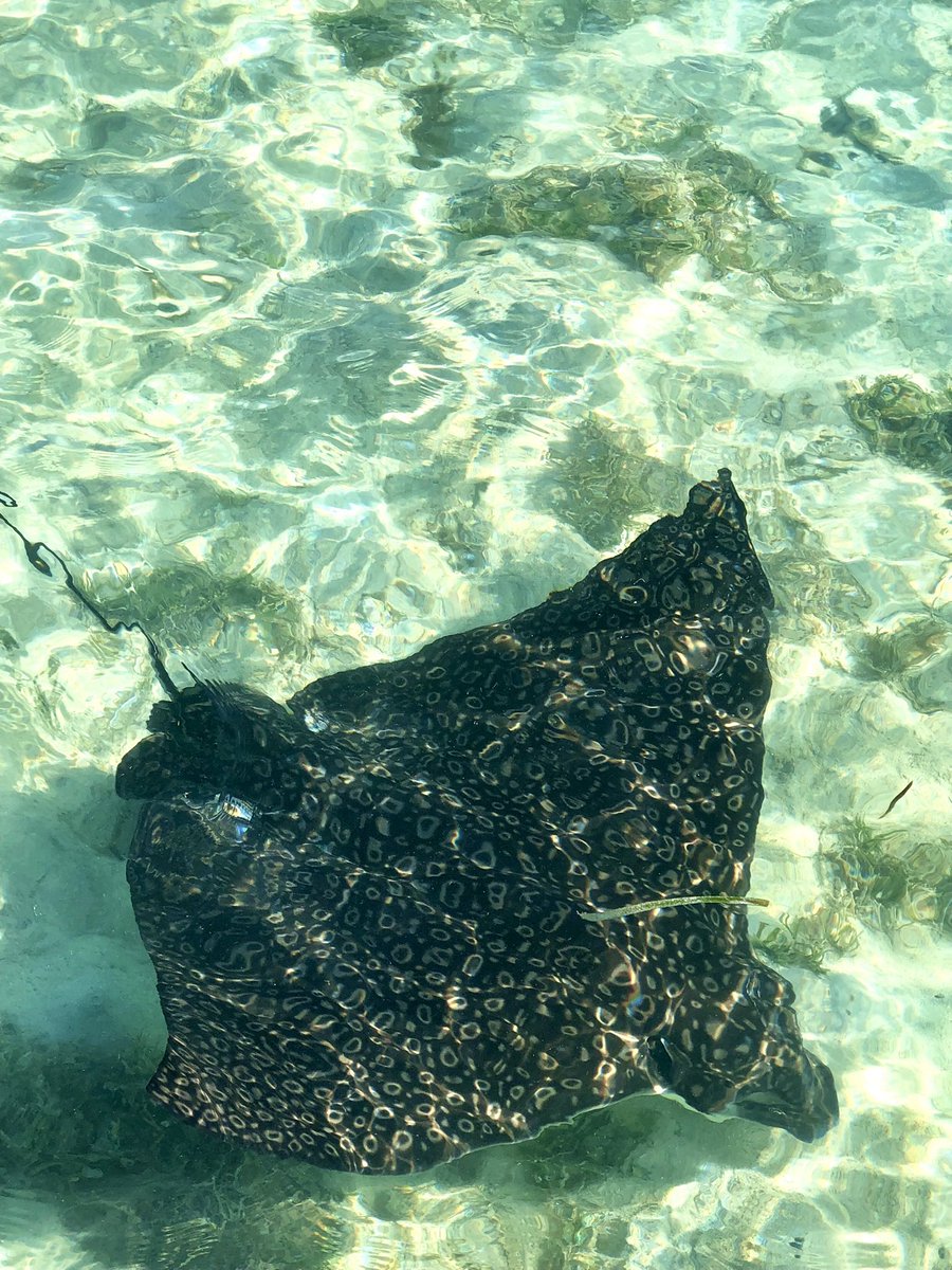 Morgan 🏴‍☠️ tweet media