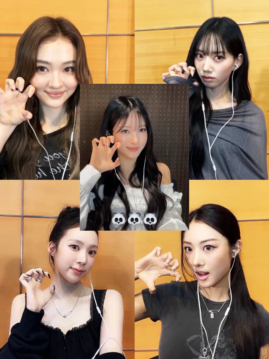 🐼🐼🐼 tweet media