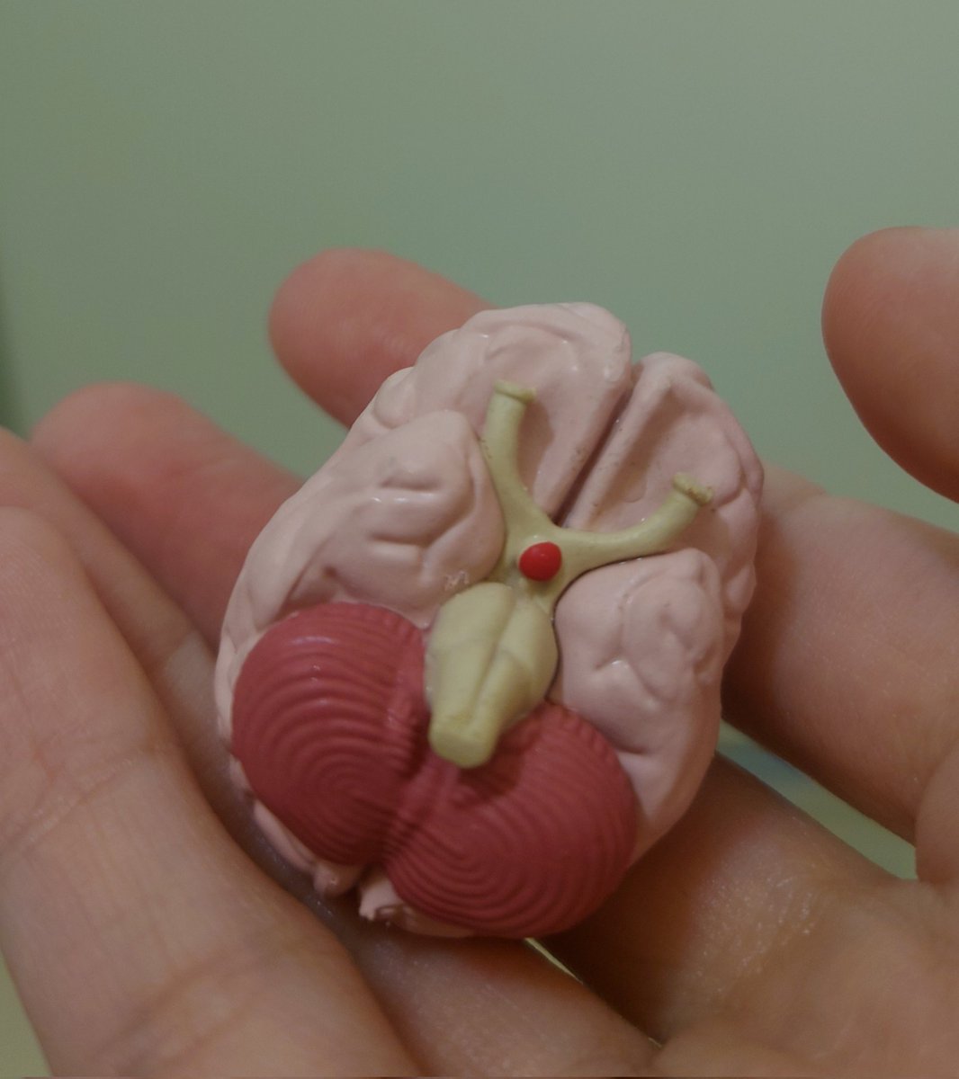 鮎澤❦ tweet media