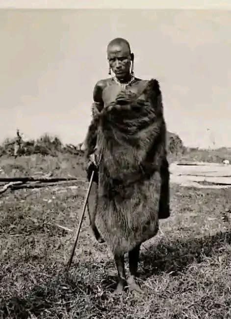 M O I B E N S H I R E tweet media