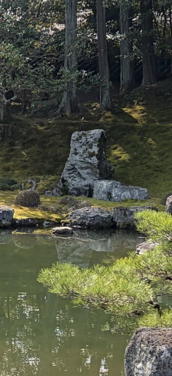 駒井俊雄 tweet media