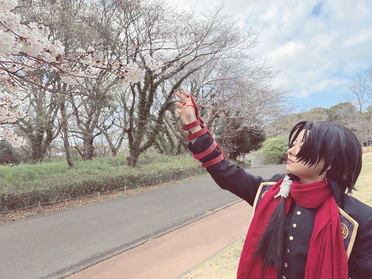 yukigome__'s tweet photo. #桜刀剣男士 https://t.co/PcqkH6bXlZ