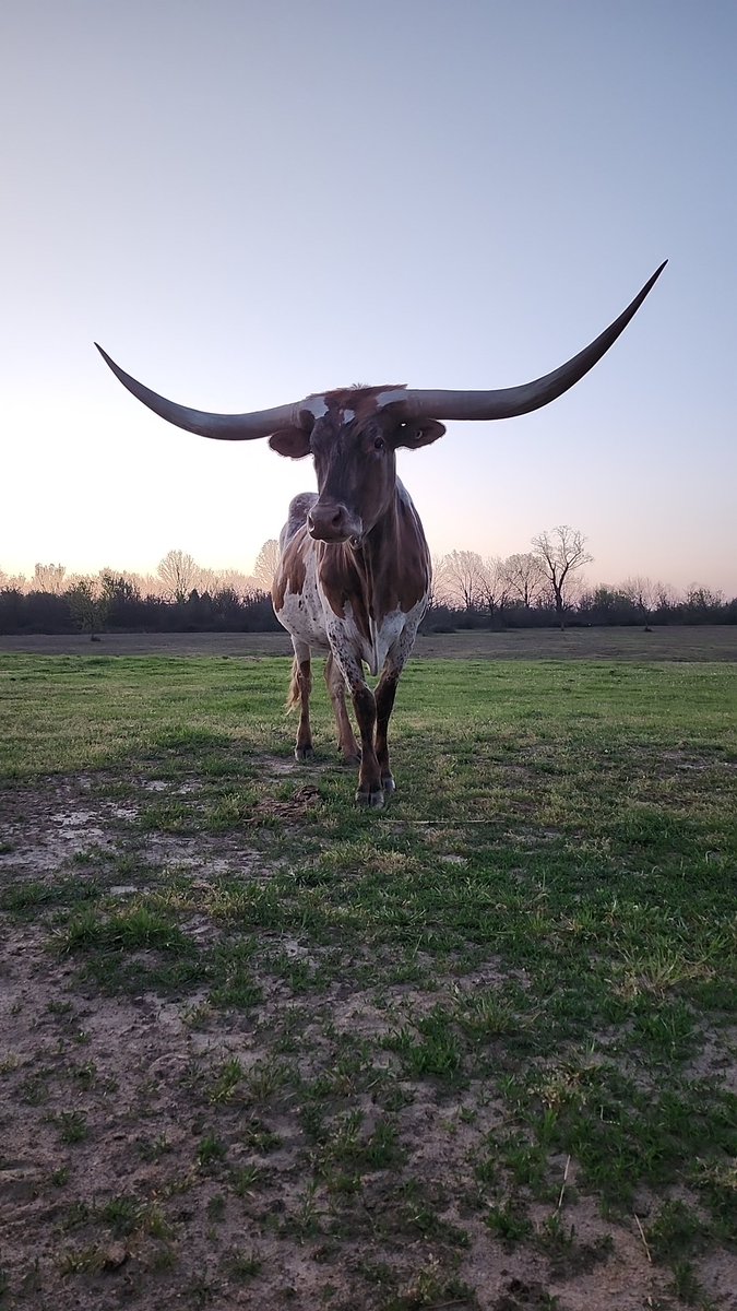 Christa Simmons🌼 tweet media