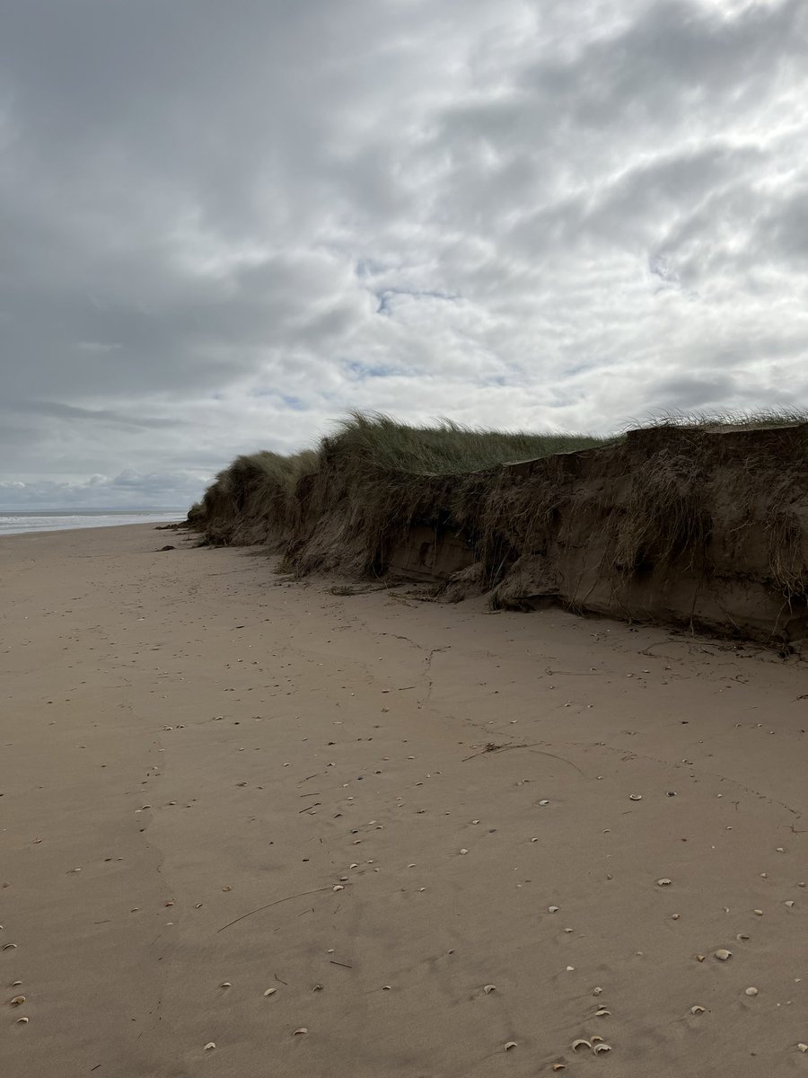 Tim Manson tweet media