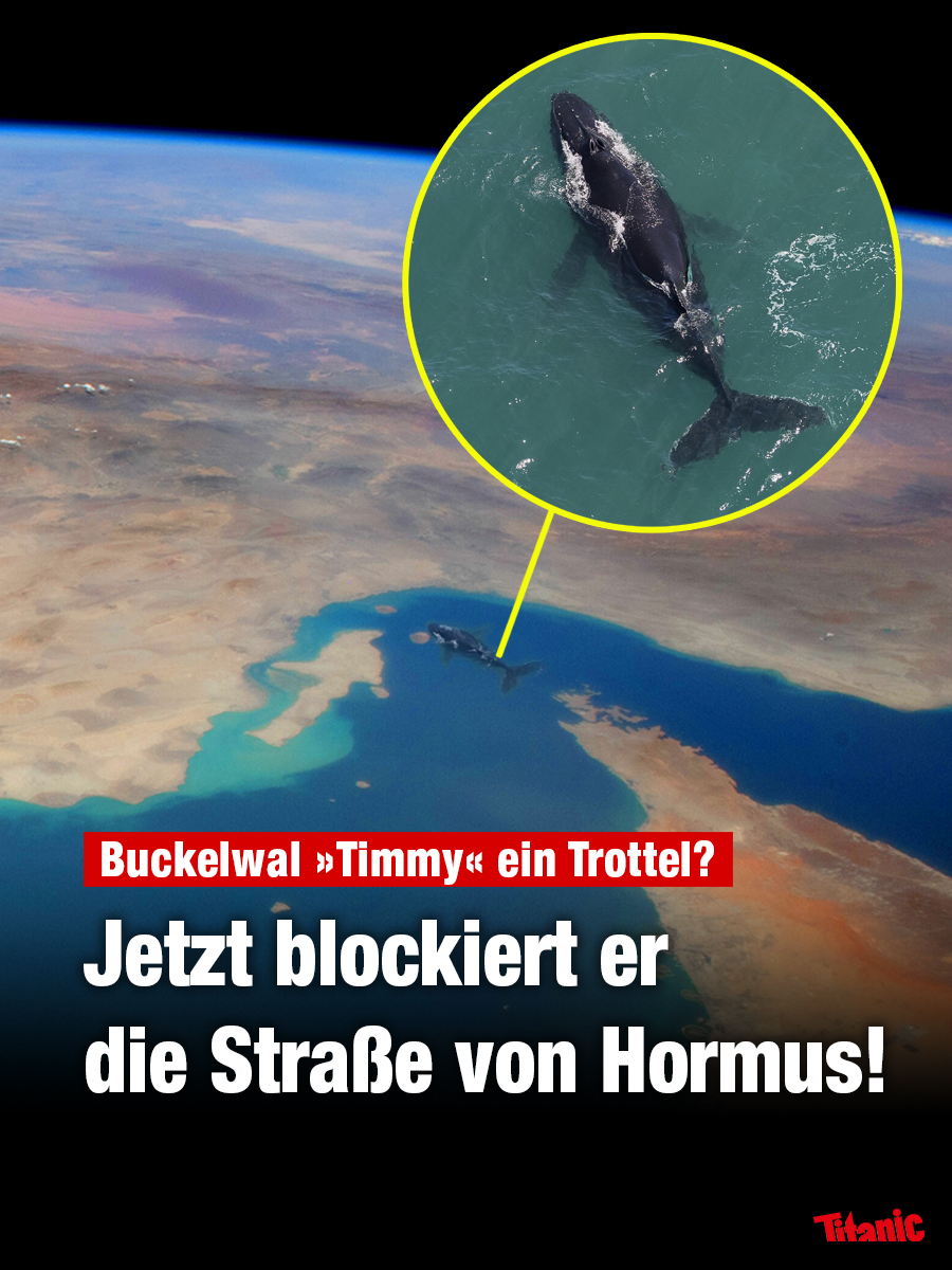 Warum tut denn niemand etwas?