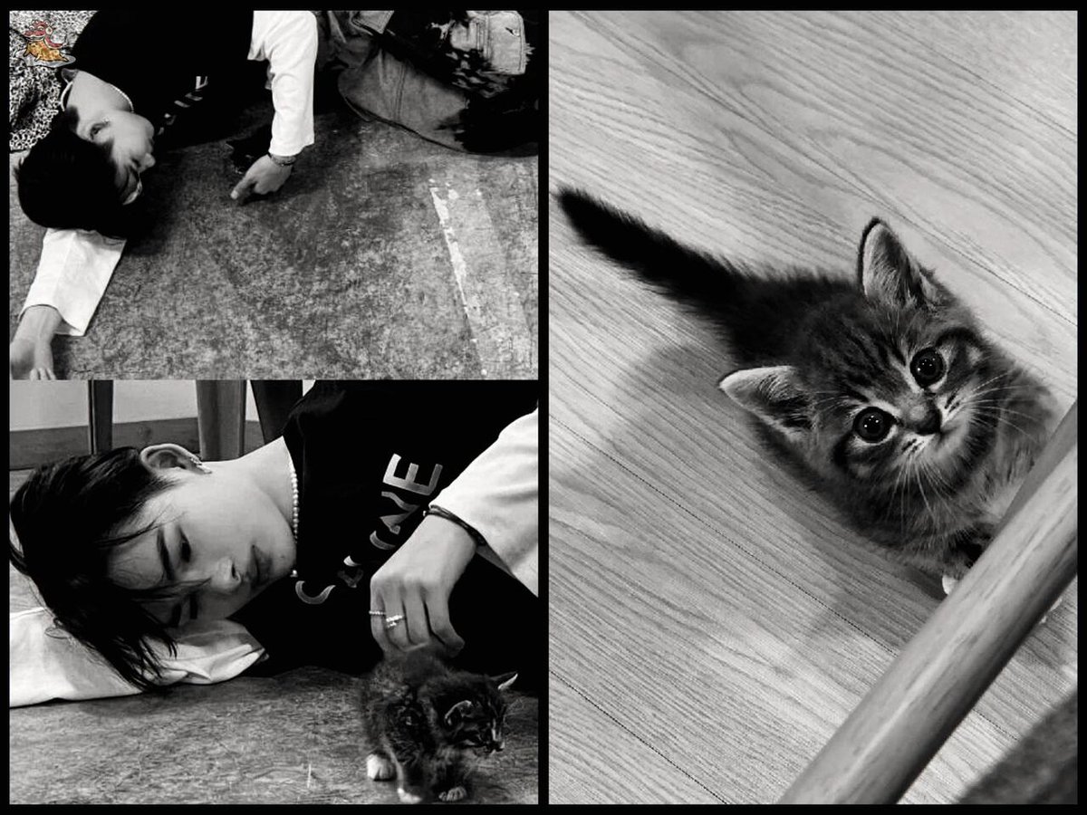 SOC-IE 💛 ˚☽˚.⋆ tweet media