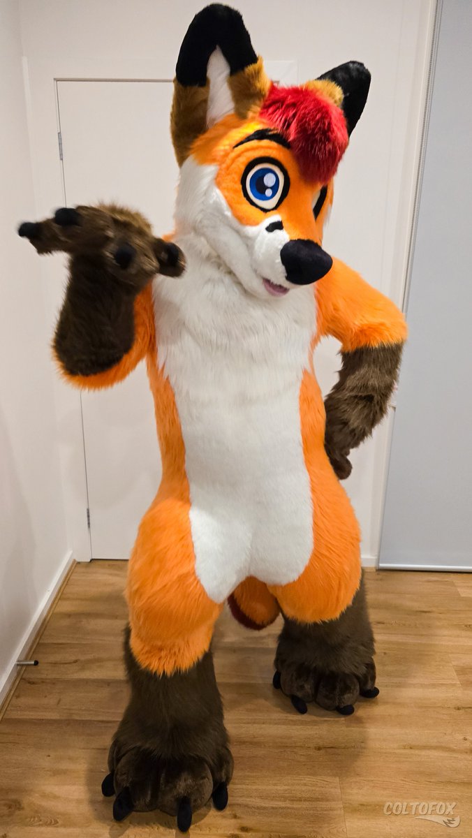 Colto Fox tweet media