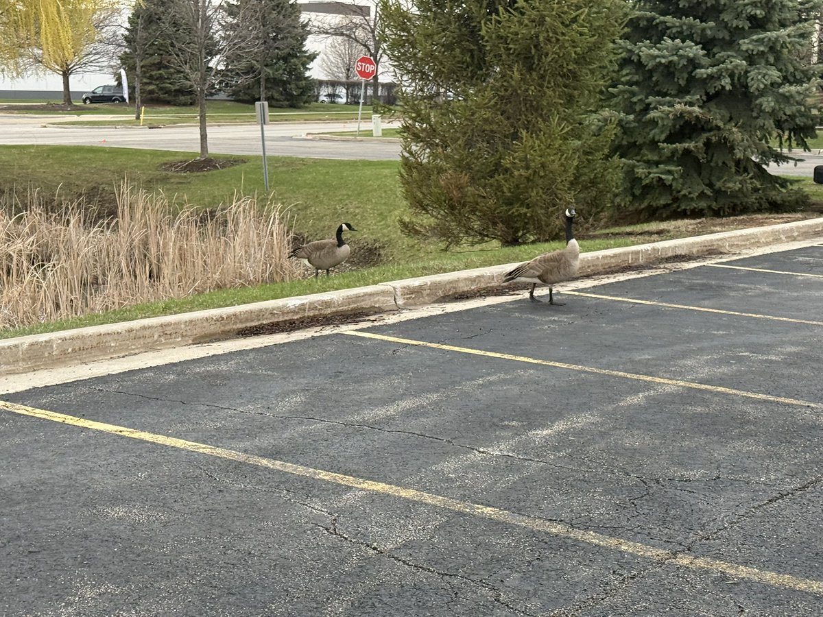 Great Weather in Chitown for a run 🏃🏽 Styling @predsnhl gear in enemy territory !!