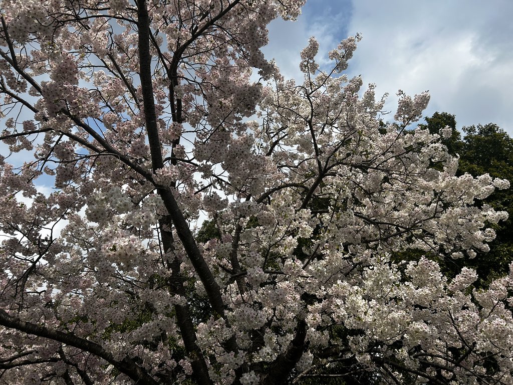 Nakamura S3 tweet media