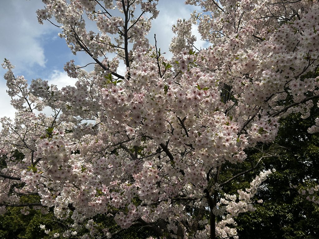 Nakamura S3 tweet media