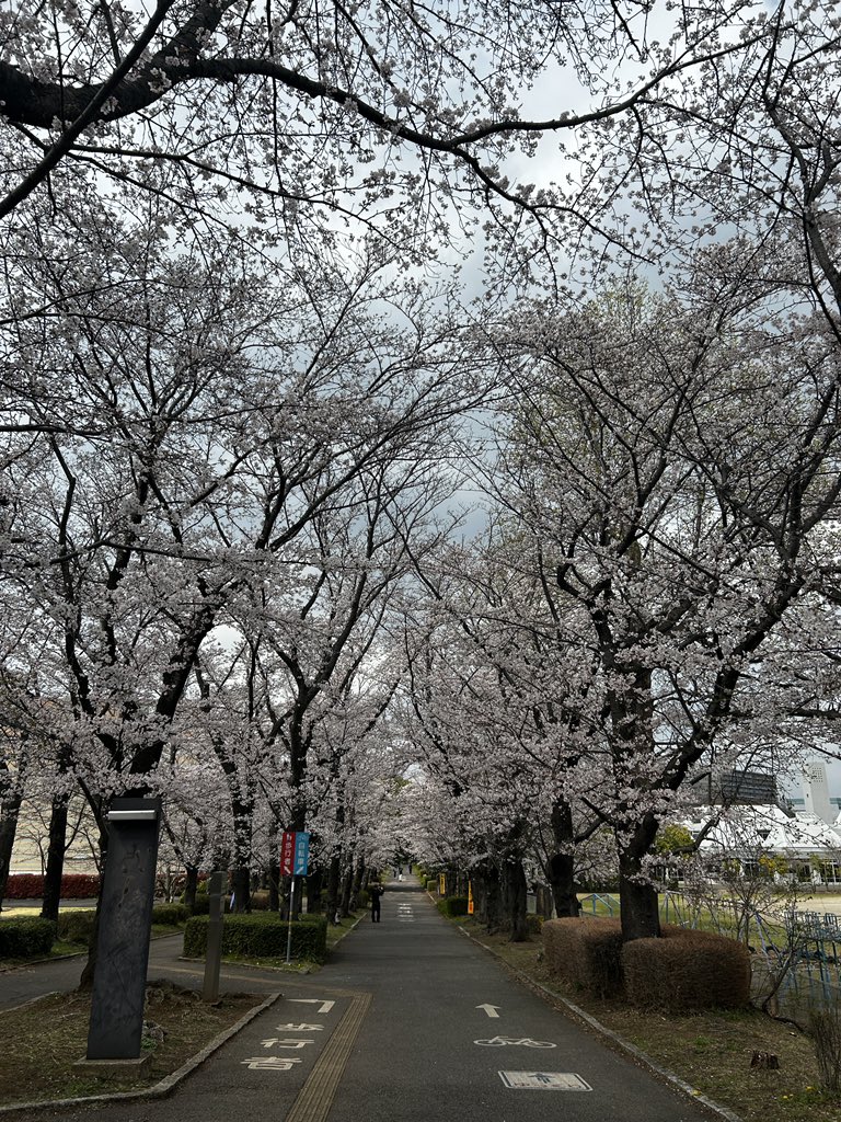 Nakamura S3 tweet media