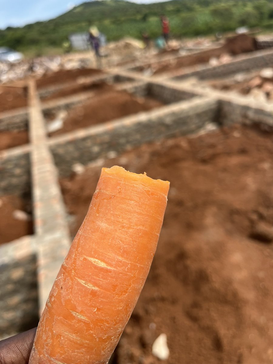 SABSAT CONTRACTORS LTD tweet media